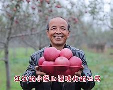 陕西版吃苹果陕西税务app下载苹果-第2张图片-太平洋在线下载