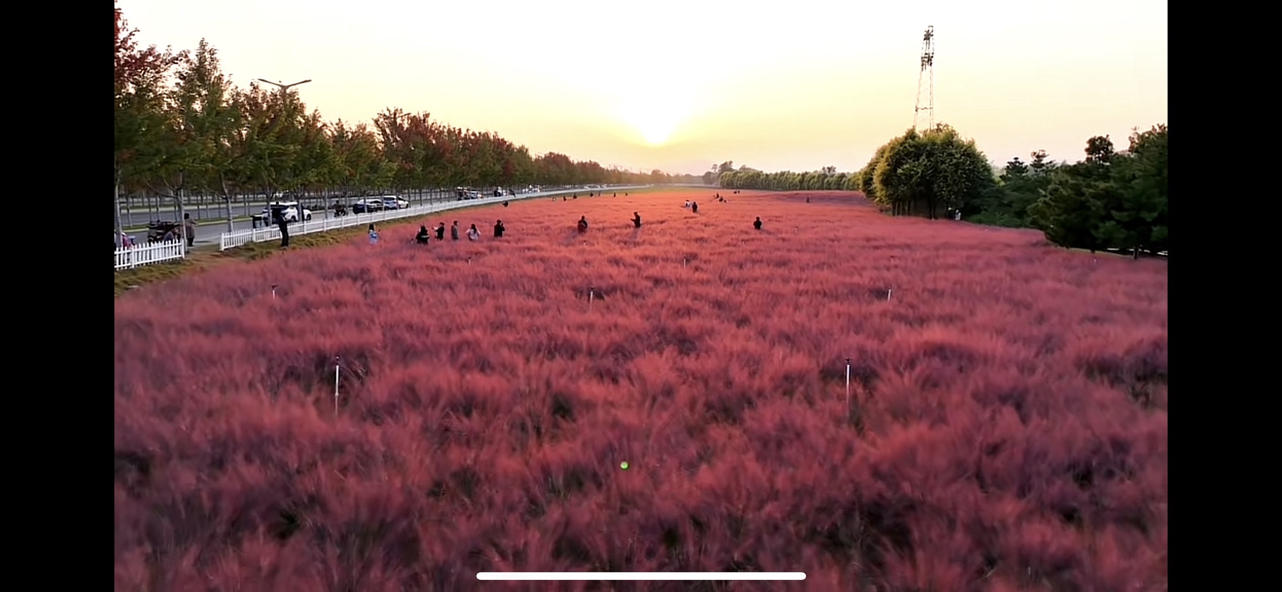 花海苹果版无特效苹果手机烟花特效怎么玩