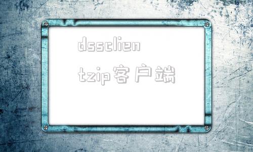 dssclientzip客户端dssclient监控系统pc安装-第1张图片-太平洋在线下载