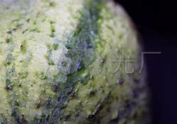 丝瓜视频安卓版苹果版艾克斯直播app最新版本-第2张图片-太平洋在线下载