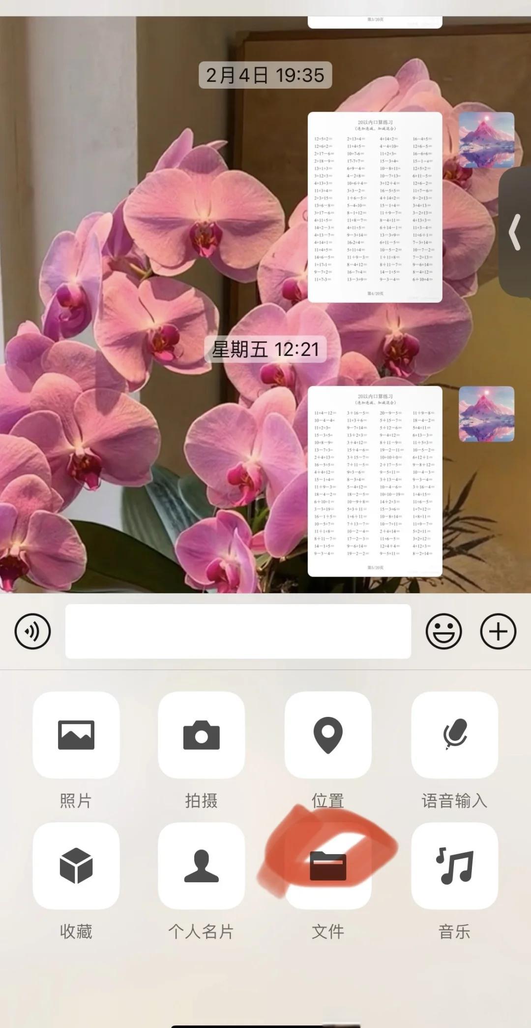 随机视频苹果版全球随机匹配聊天chatroulette